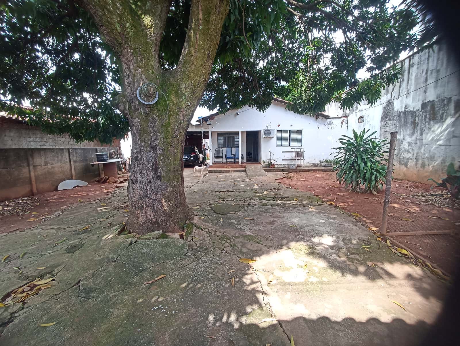 Lote Jardim Europa